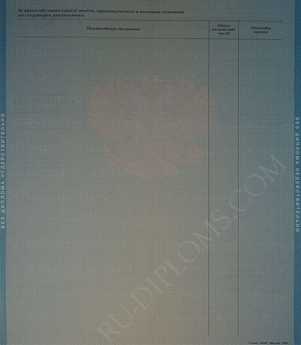 Диплом магистра 2004-2009 год 